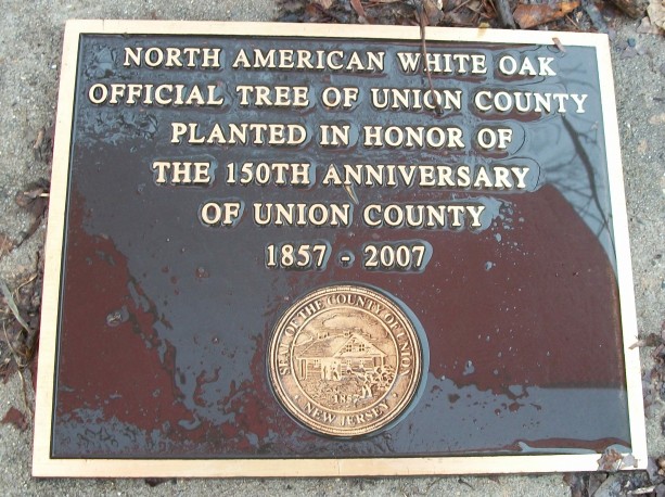 File:UCC Plaque in Park.jpg