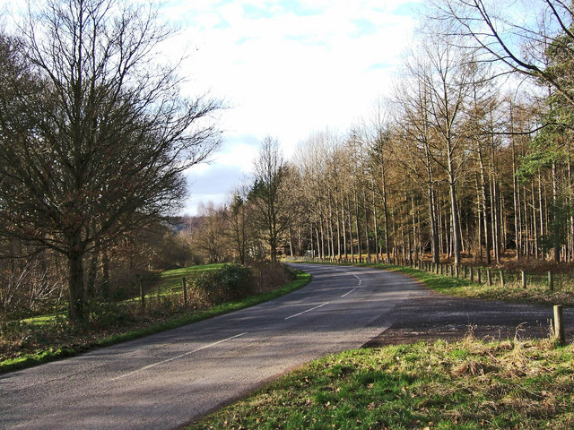 File:Unclassified public road through Eymore Wood - geograph.org.uk - 673632.jpg