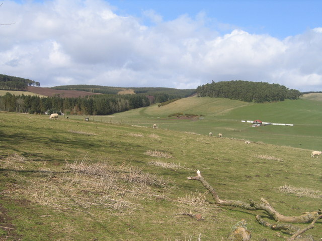 File:Whinny Brae - geograph.org.uk - 151542.jpg