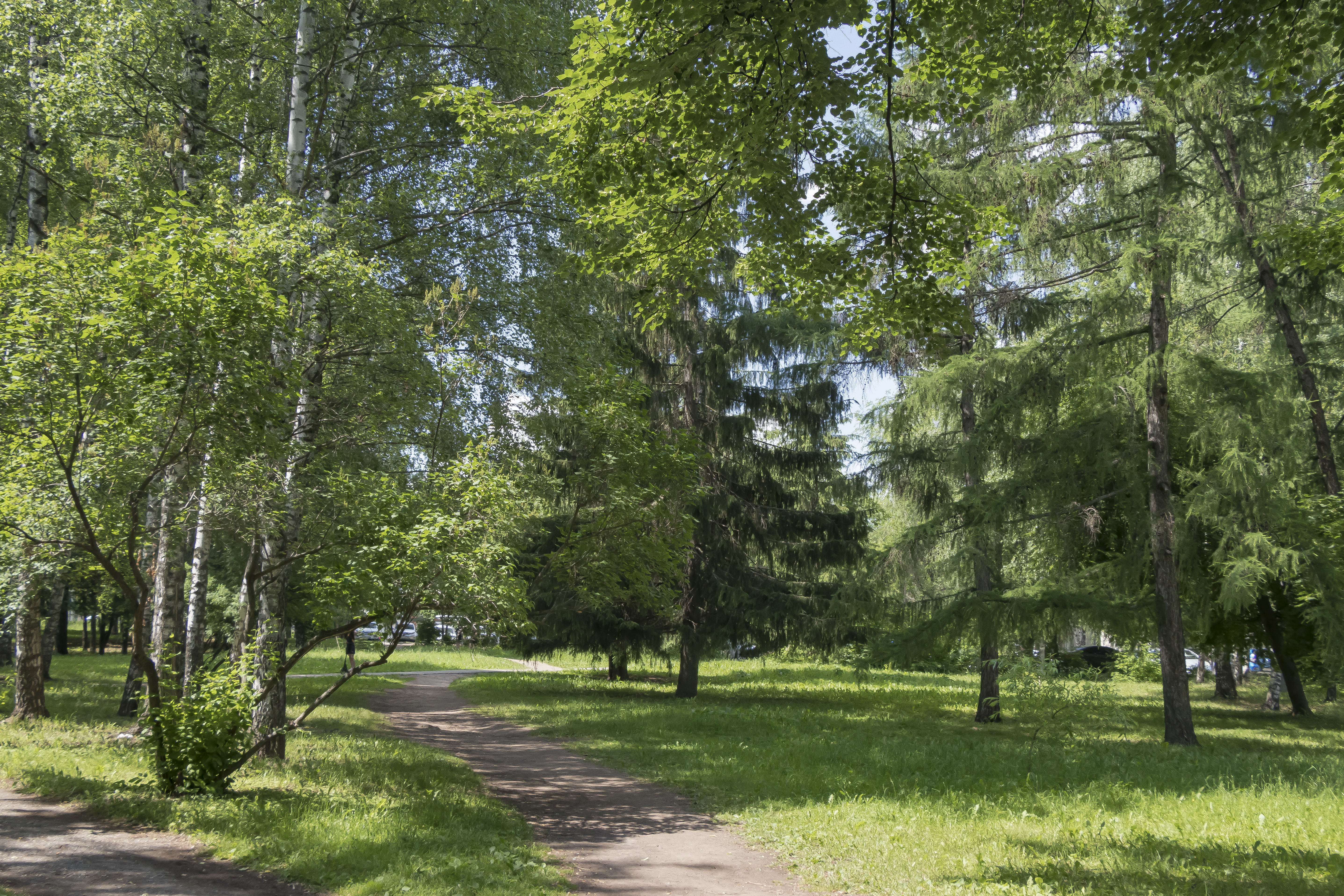 центральный городской парк королев