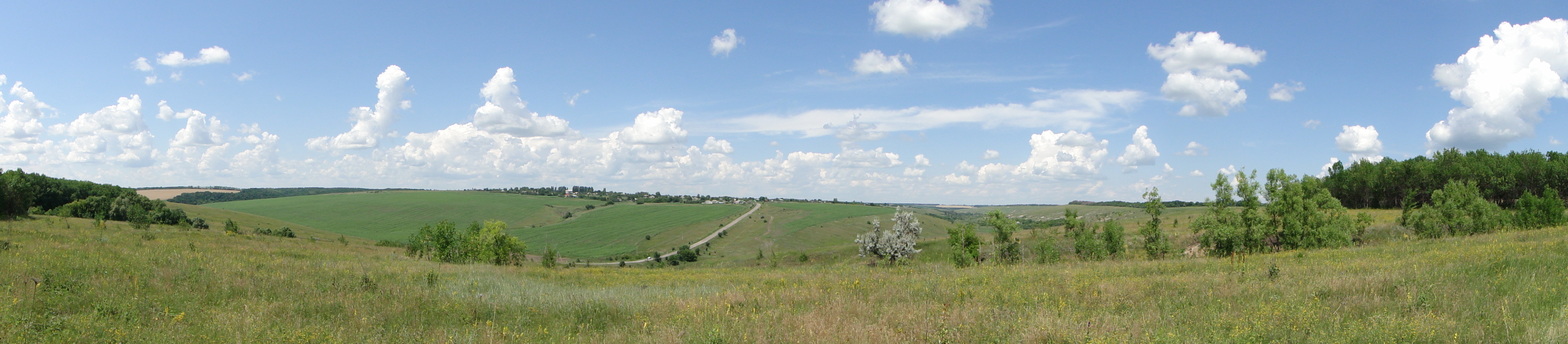 Оськино томская область. Село Оськино. Село Оськино Воронежской области. Поселение Оськино болото. Оськино Рязанская область.