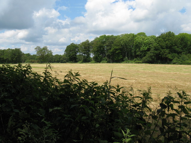 File:An area called Planted Fields - geograph.org.uk - 1354641.jpg