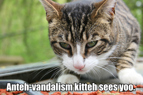 Anteh-vandalism kitteh lolcat