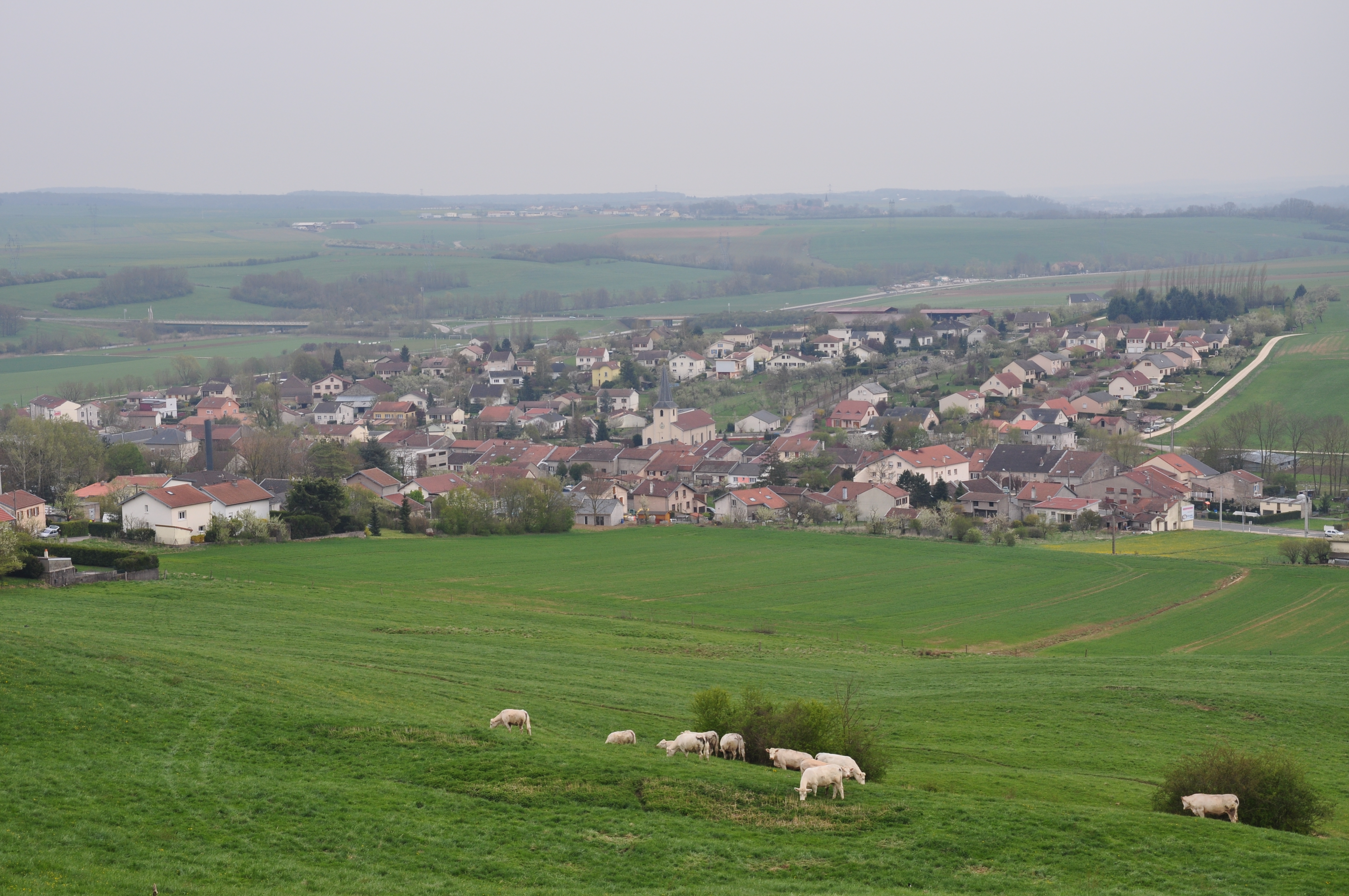 Bainville-sur-madon