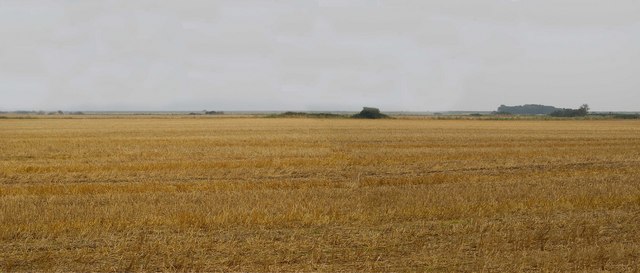 File:Bradwell Marshes - geograph.org.uk - 242196.jpg