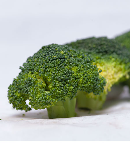 File:Broccoli picture.jpg