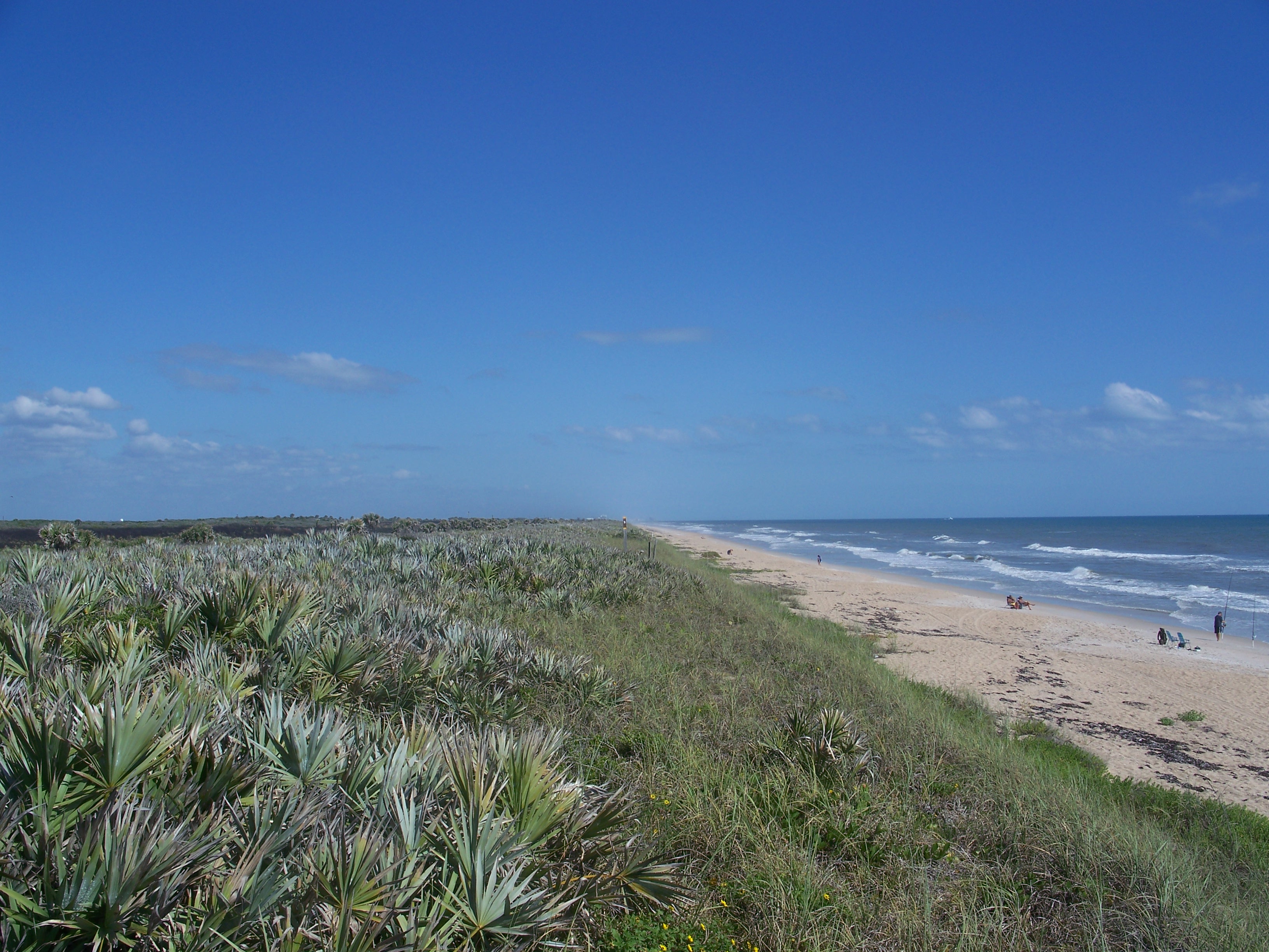 Canaveral National Seashore.