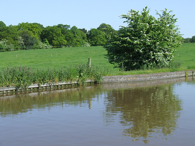 File:Canal and Pasture near Market Drayton, Staffordshire - geograph.org.uk - 1604631.jpg