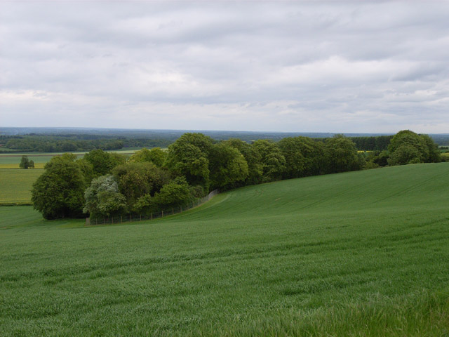 File:Copse and farmland below Woodgarston Farm - geograph.org.uk - 173451.jpg