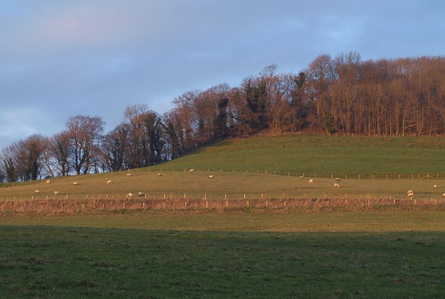 Cotswold scarp at Wortley (2) - geograph.org.uk - 1651109