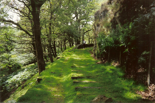 File:Dduallt old trackbed.jpg