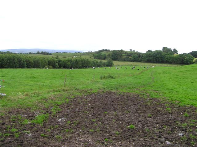 File:Drumshanly Townland - geograph.org.uk - 1395120.jpg