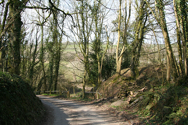 File:Dulverton, lane near Anstey Farm - geograph.org.uk - 390888.jpg