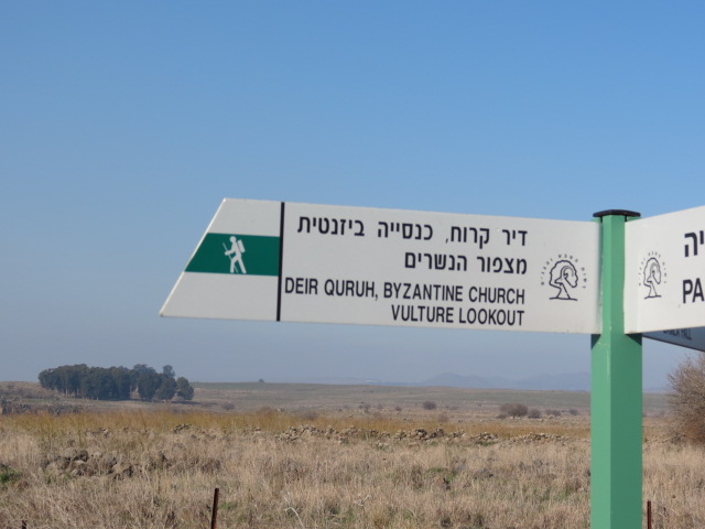 File:Gamla in Golan 42.jpg