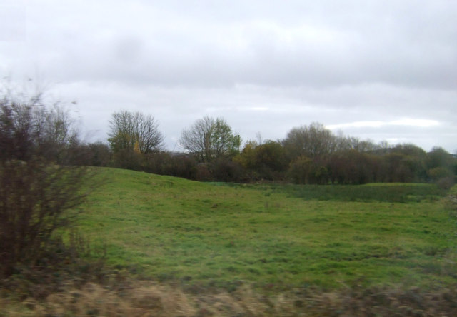 File:Grazing near Next Ness - geograph.org.uk - 3827894.jpg