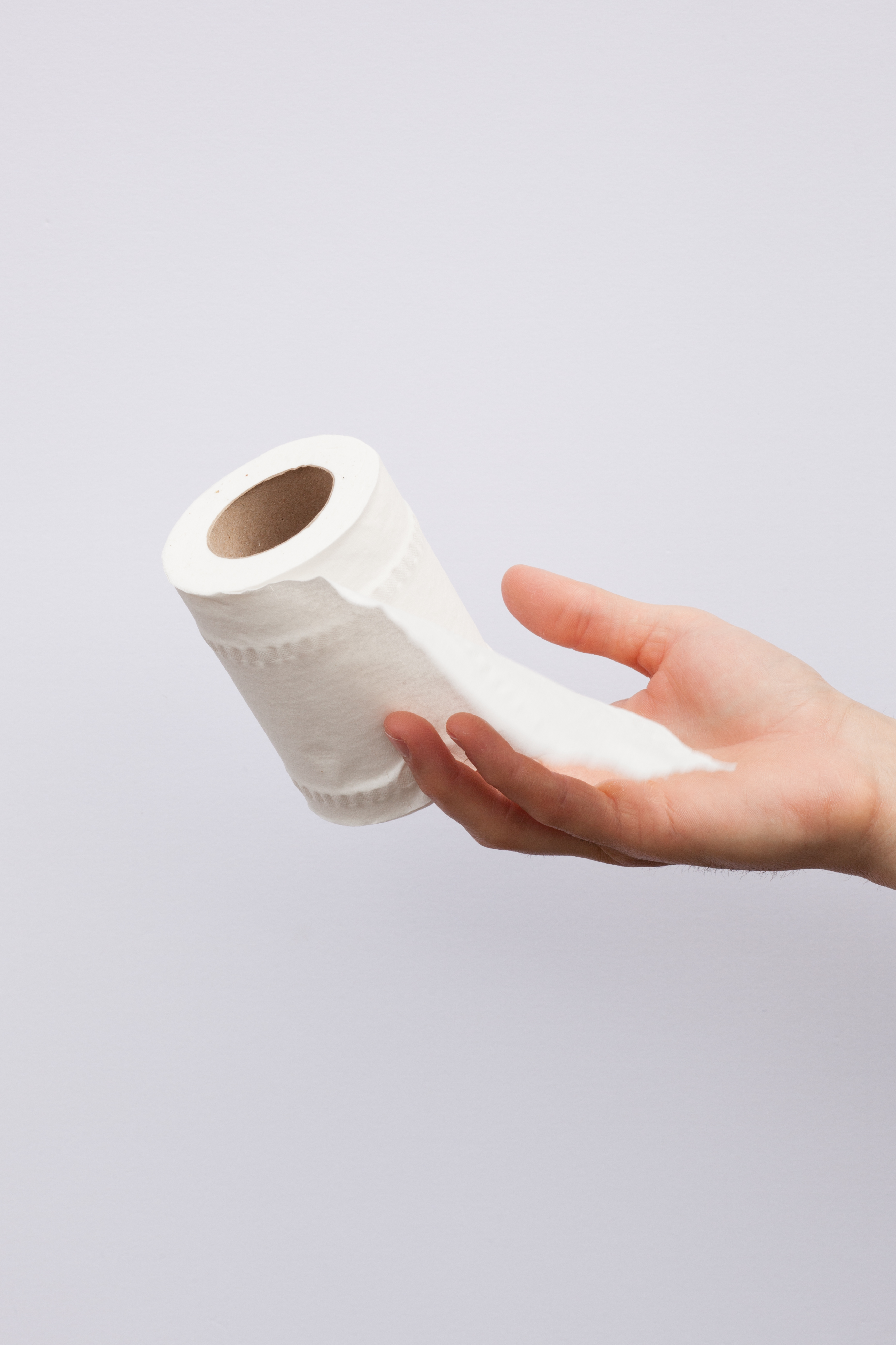 File:Vertical Toilet Roll Holder.jpg - Wikipedia