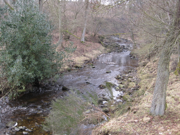 File:Ham Burn near Whitley Mill - geograph.org.uk - 1737891.jpg