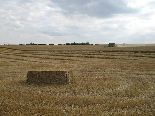 File:Harvesting - geograph.org.uk - 215719.jpg