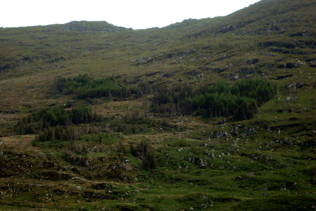 File:Hillside at Crownarad - geograph.org.uk - 1353010.jpg