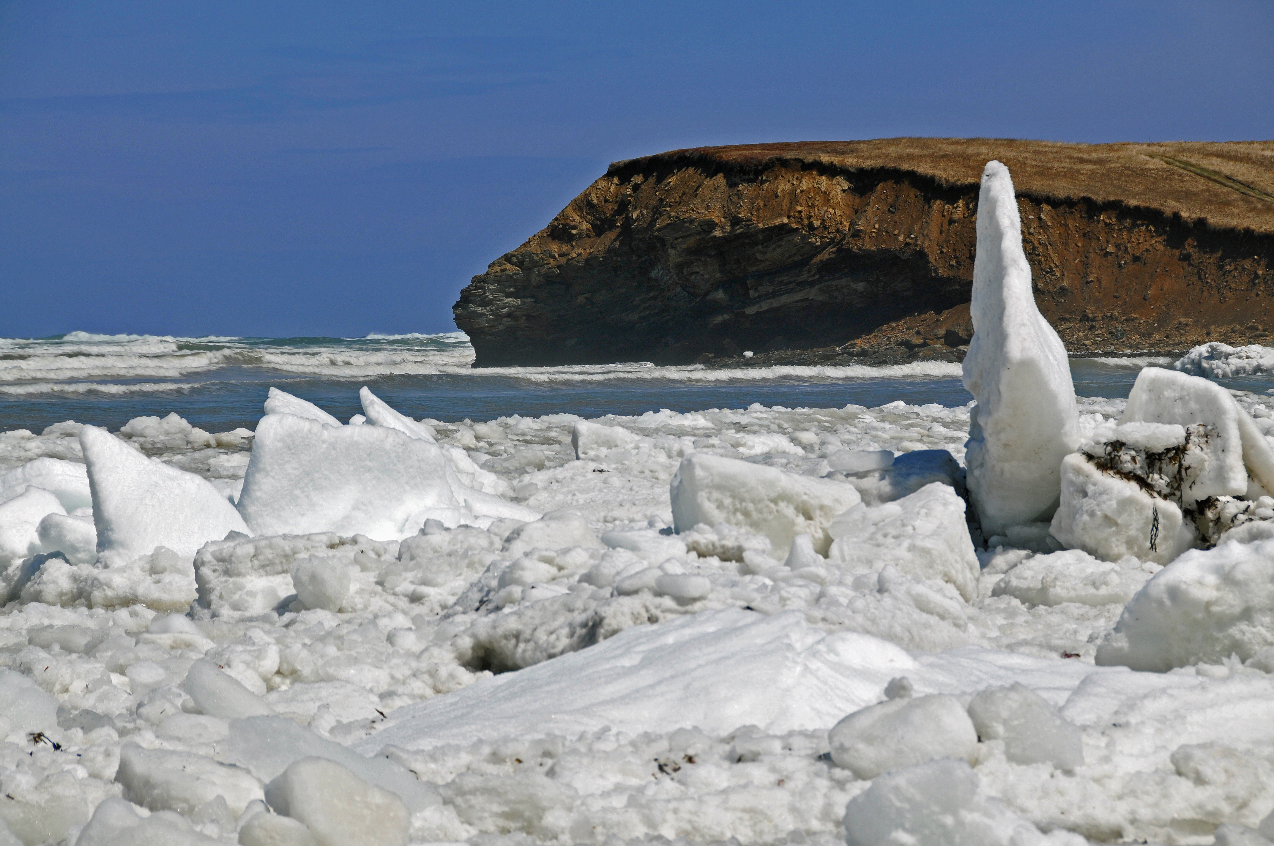 Ice spike. Динозавр во льду в Канаде. Nova Scotia Wallpaper.