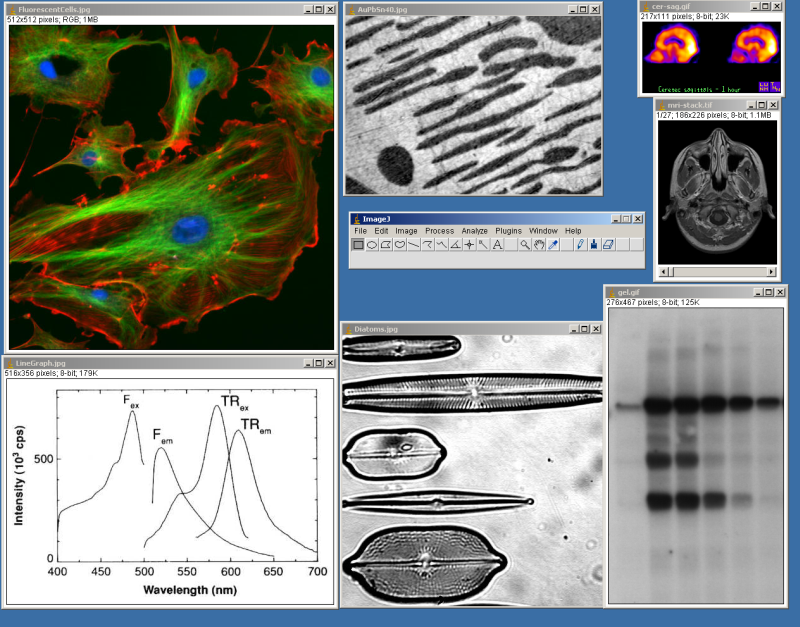 ImageJ Screenshot