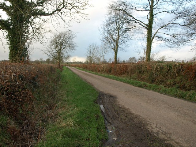 File:Lane near Riggles Cross - geograph.org.uk - 2787897.jpg