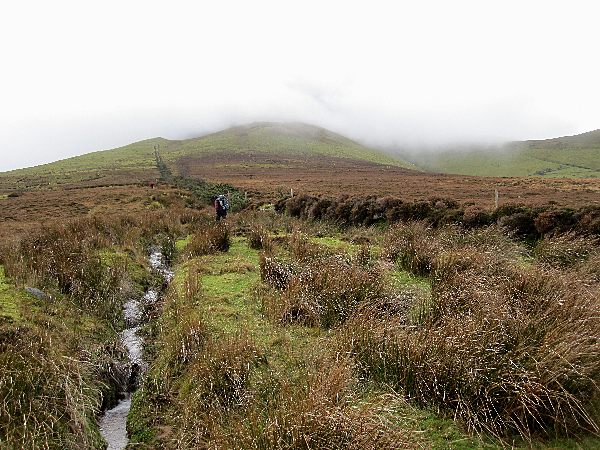 Moneynaboola Heathland - geograph.org.uk - 2213085