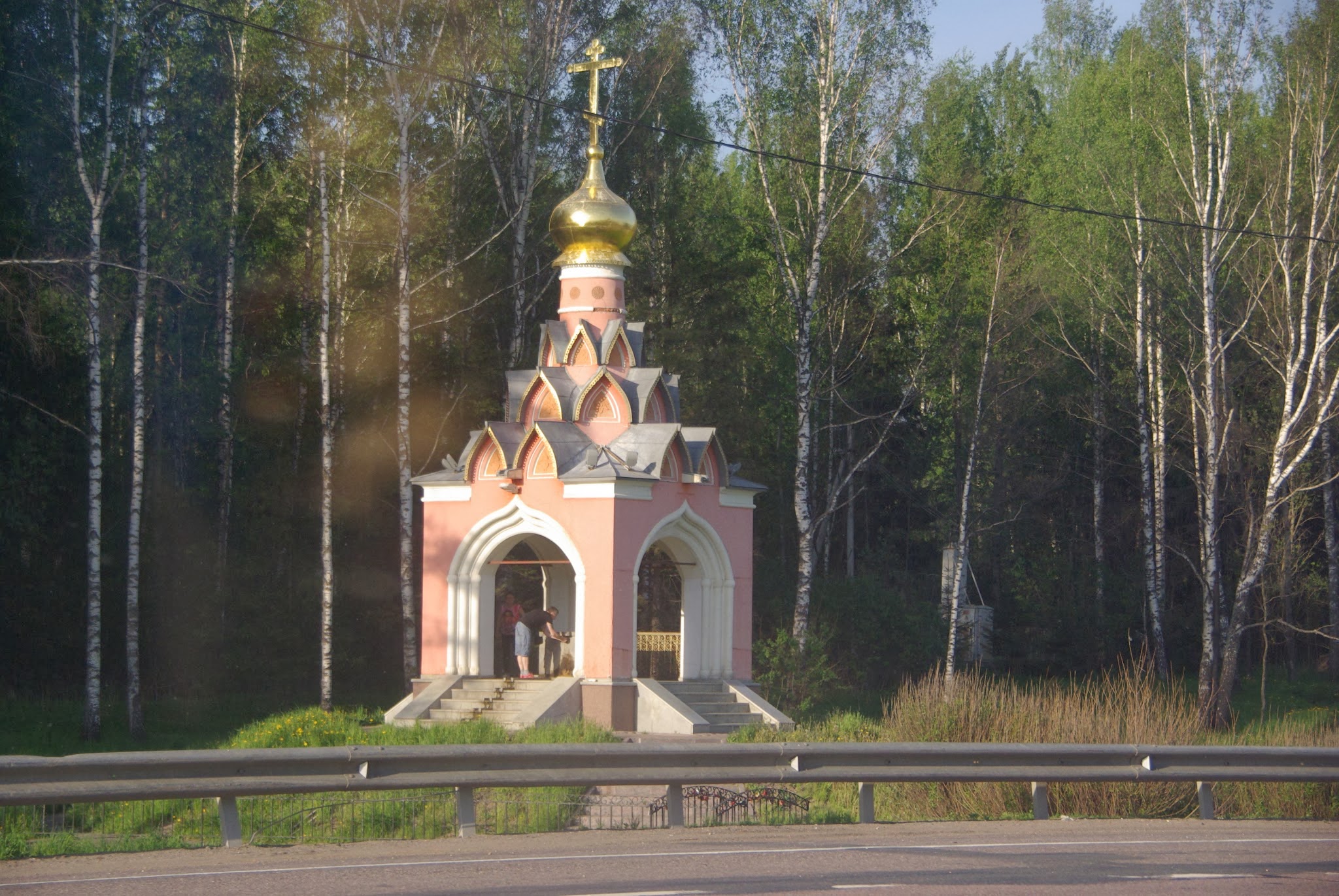 Найдено московская область