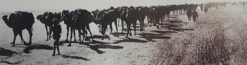 File:Ottoman Camel Caravan.jpg