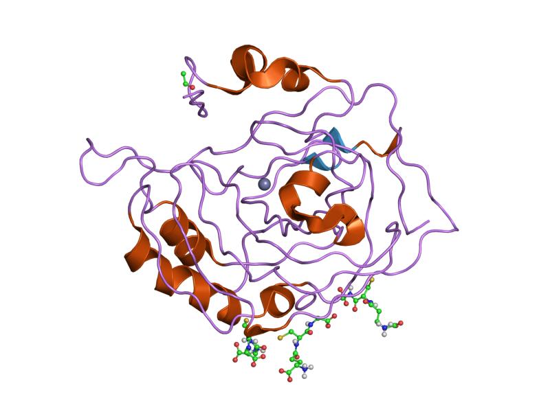 File:PDB 1flj EBI.jpg