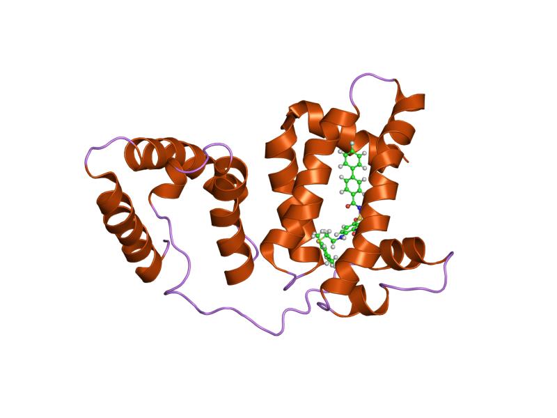 File:PDB 1ysx EBI.jpg