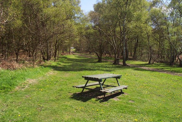Picnic_Area_on_Edge_of_Shoal_Hill_-_geog