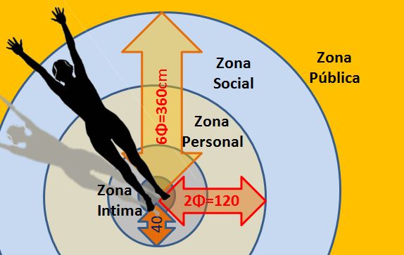 File:Proxemica aurea.JPG