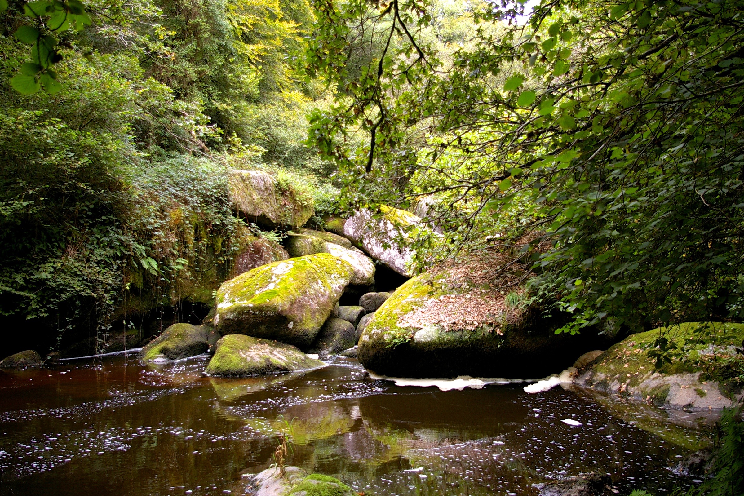 Les gorges de Toul Goulic  France Bretagne Côtes-d'Armor Lanrivain 22480