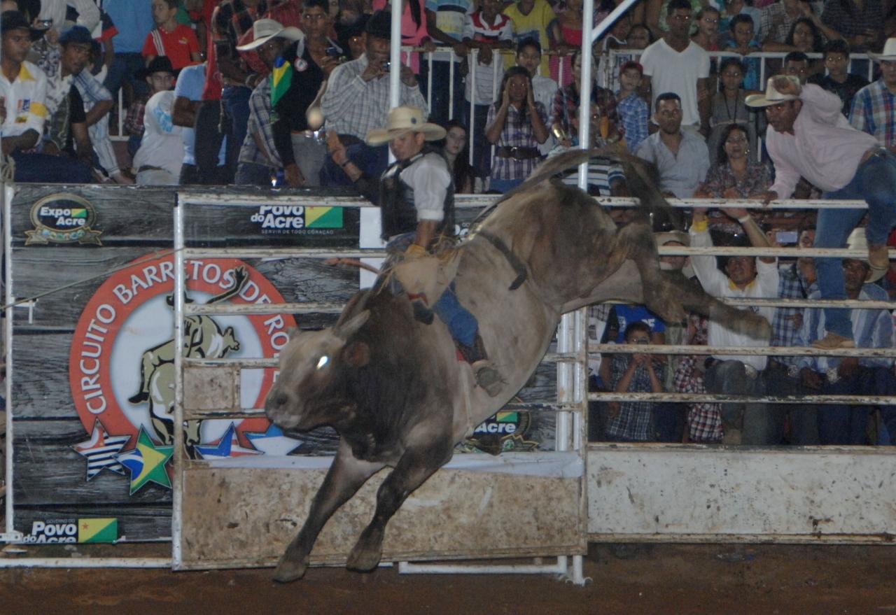 Rodeio toros e cavalos 