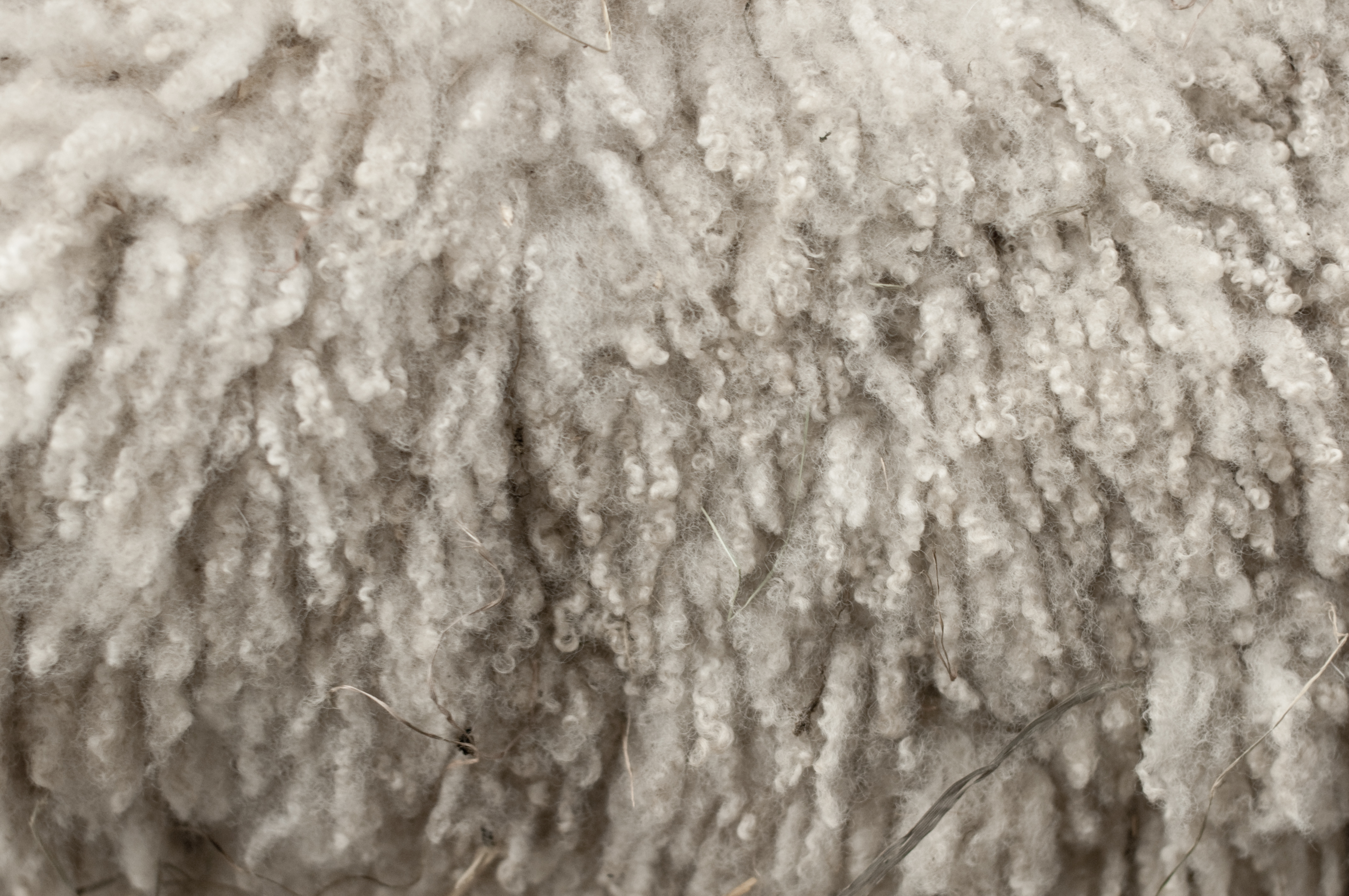 Clean, Untainted Pure Wool