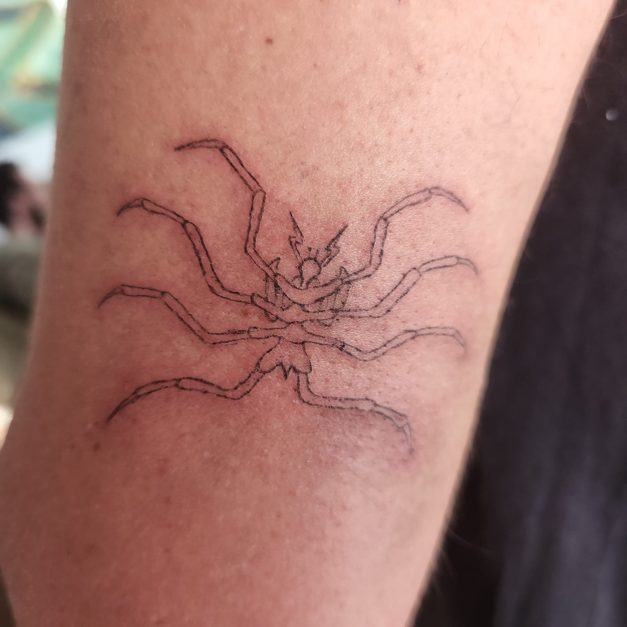 Don Tattoo - 🕷️ #spidertattoo #tattoo #spider #tattoos... | Facebook