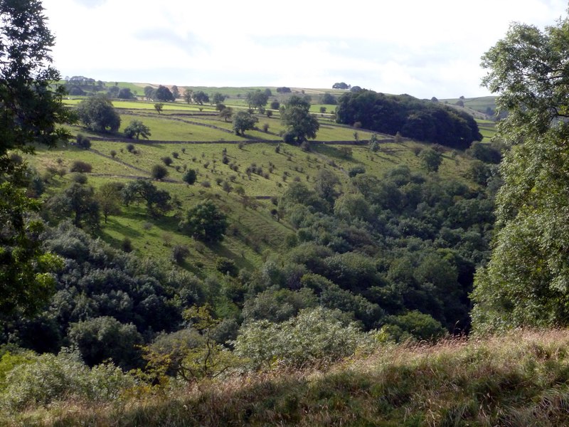 Taddington Dale - geograph.org.uk - 3138829