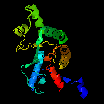 iTASSER predicted tertiary structure of C13orf46 Isoform 1. Tertiary Structure Isoform 1 ITASSER.png