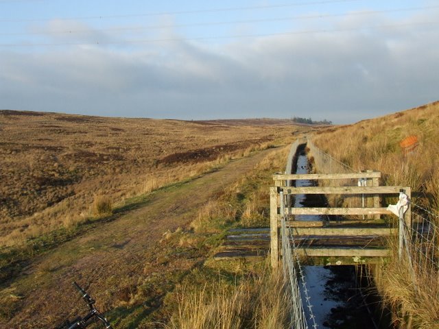 The Kelly Cut - geograph.org.uk - 1103037