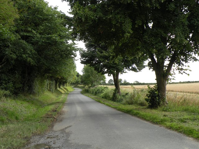 File:The road to Westley Waterless from Dullingham - geograph.org.uk - 1447414.jpg