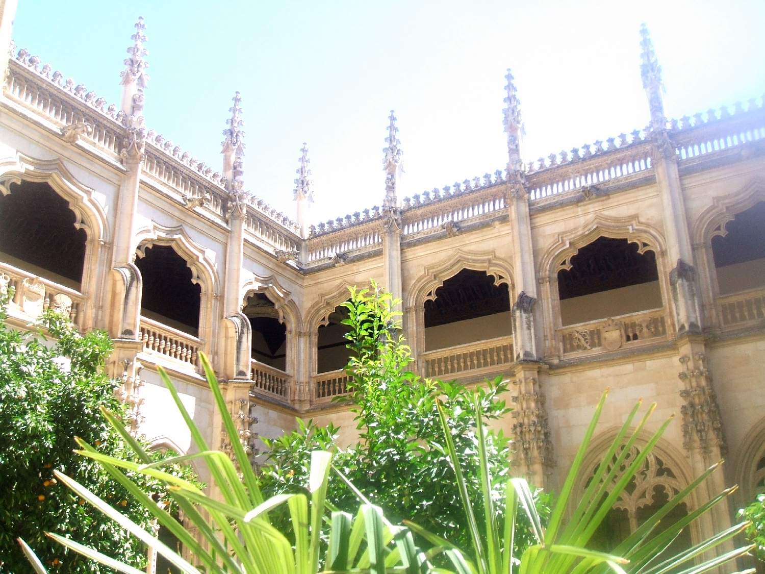 Desaparecida en alcázar de san juan