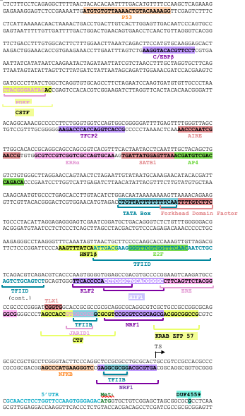 File:Transcription Factors in the 3'UTR of CXorf38.png
