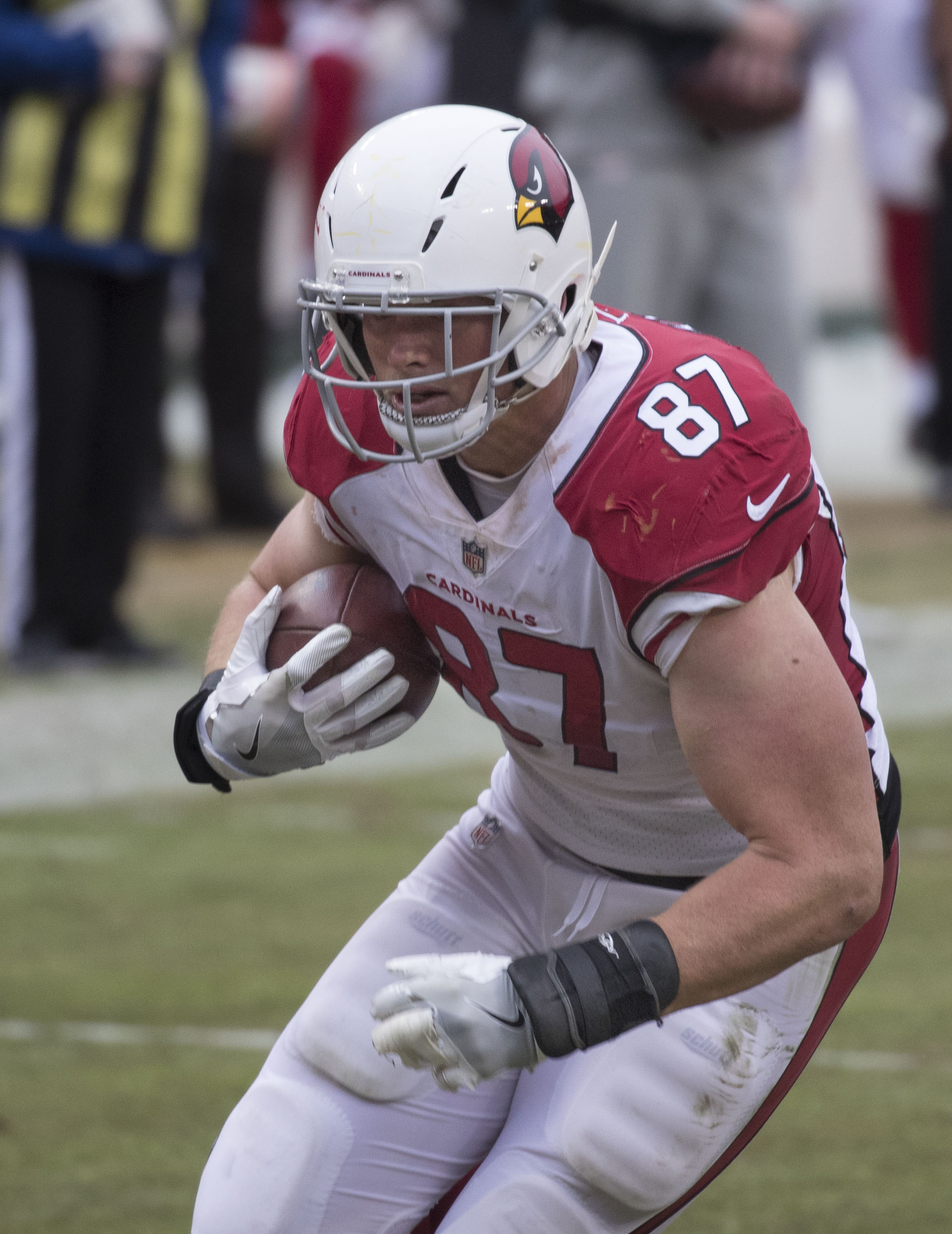 troy niklas cardinals