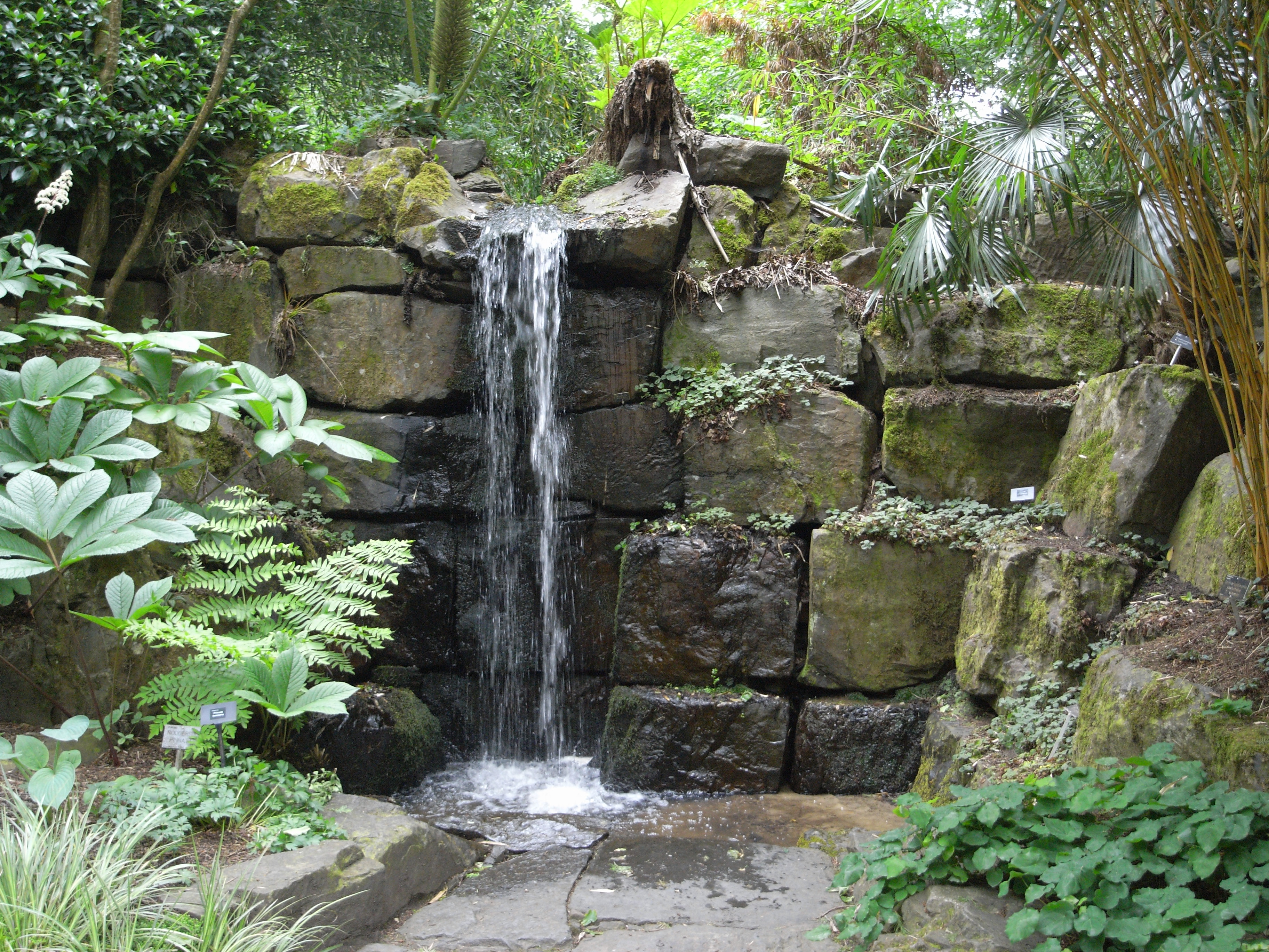 Waterfall_in_Rosemoor_Garden_23119
