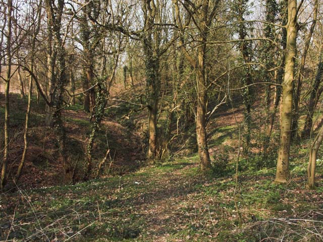 File:Wooded valley of the Howty - geograph.org.uk - 396085.jpg