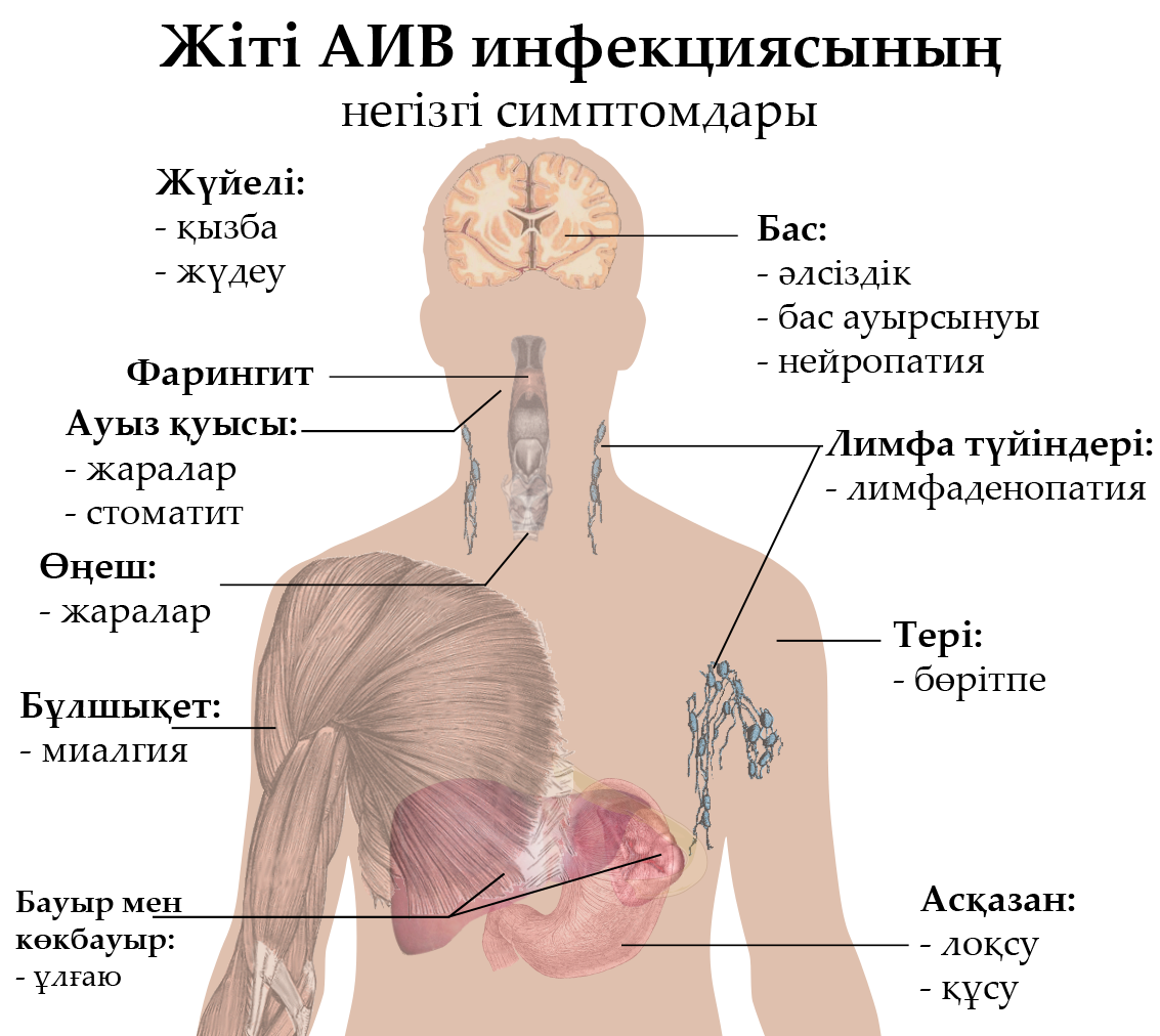 Симптомы вич на первой стадии. Первичные клинические проявления ВИЧ инфекции. ВИЧ симптомы у мужчин первые. 1 Признаки заболевания ВИЧ.