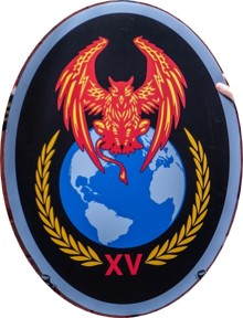 File:15th CACS emblem.jpg