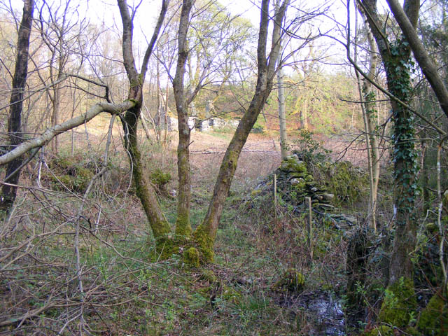 File:Abandoned enclosure in Coed y Celyn - geograph.org.uk - 1376243.jpg