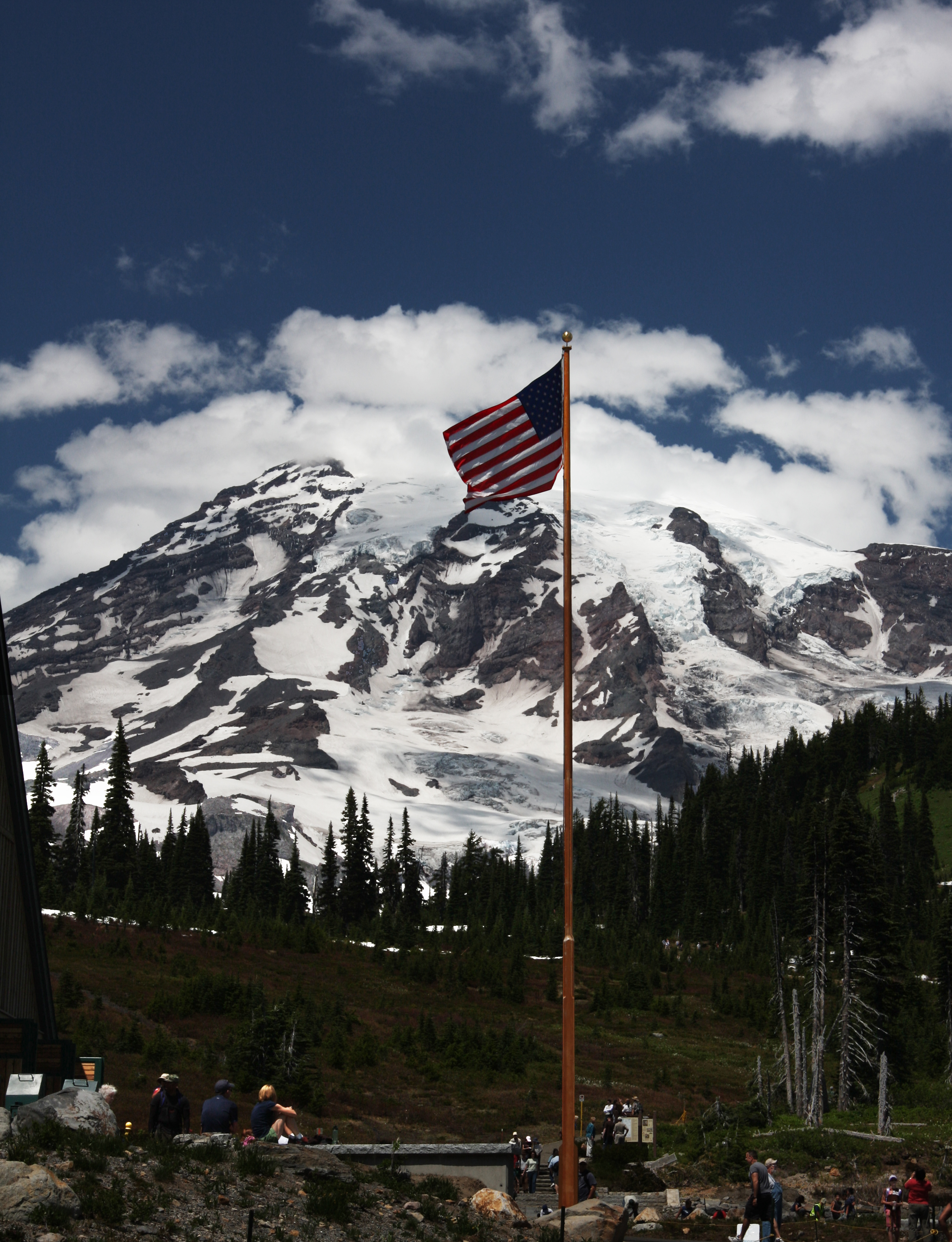 Rained america. Флаги MT.